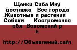 Щенки Сиба Ину доставка - Все города Животные и растения » Собаки   . Костромская обл.,Вохомский р-н